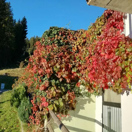 Oasi Nella Natura Lägenhet Danta